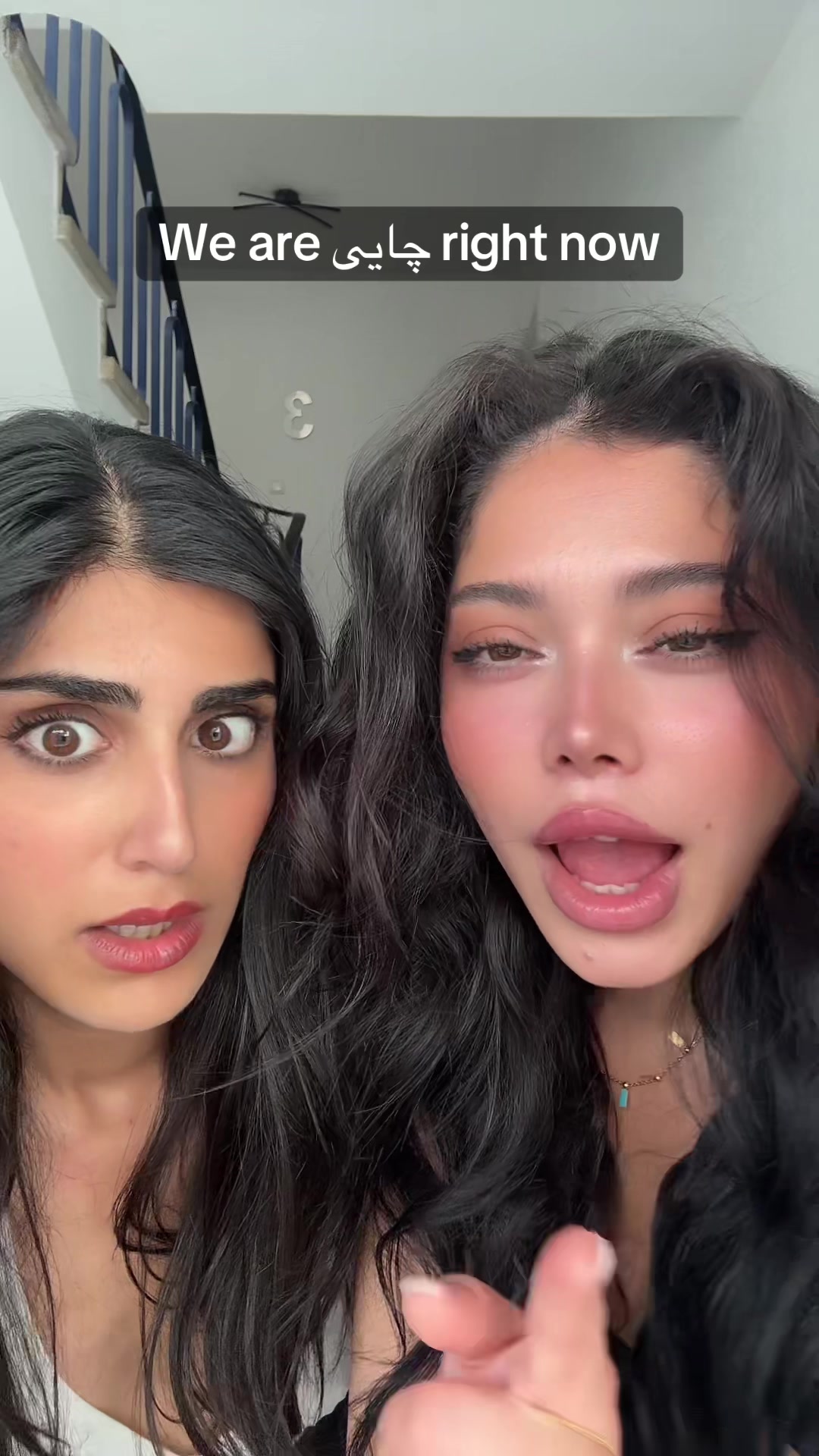 @Mitra Habibi