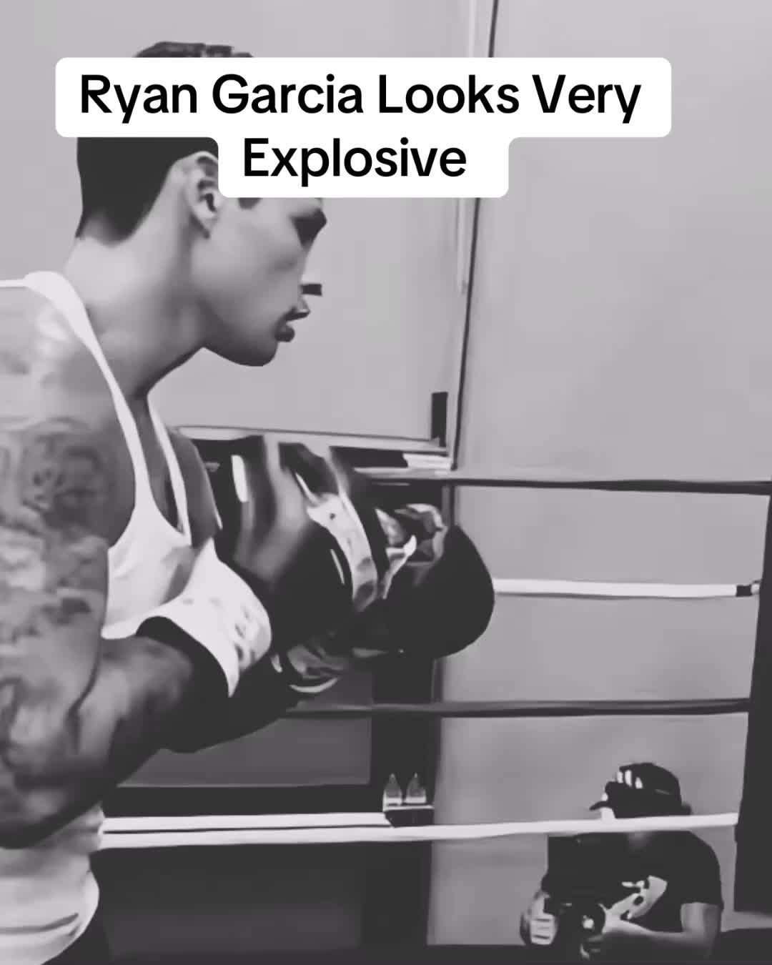 @Fight Club 247