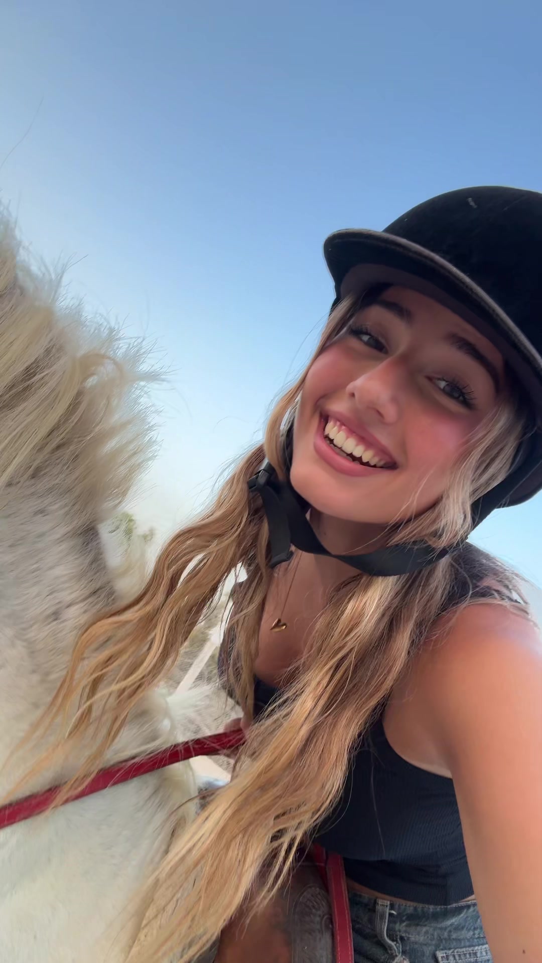 @Viola Silvi