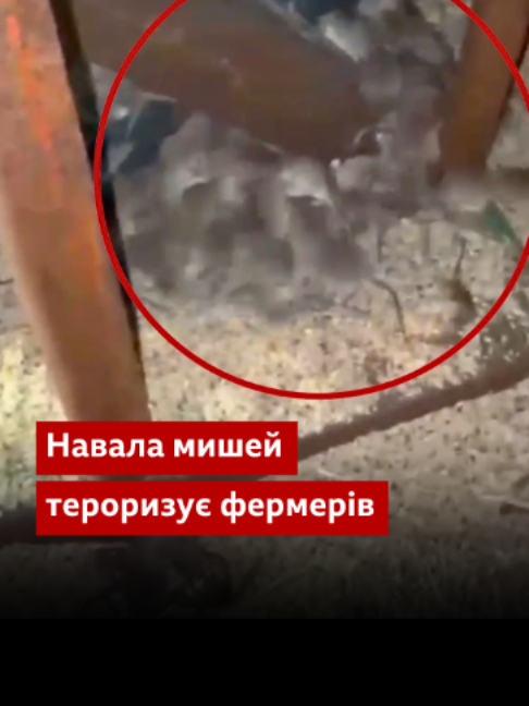 @BBC News Ukrainian