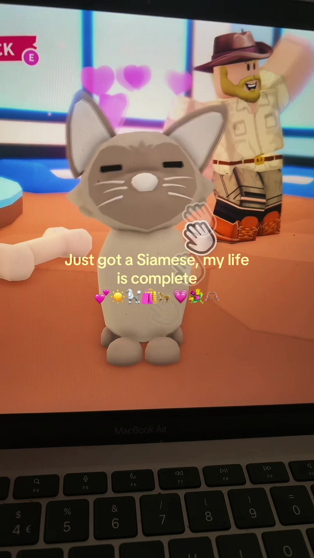 @‧ ꒰ 💘⚡️ 🏝 𝐈𝐝𝐚 !