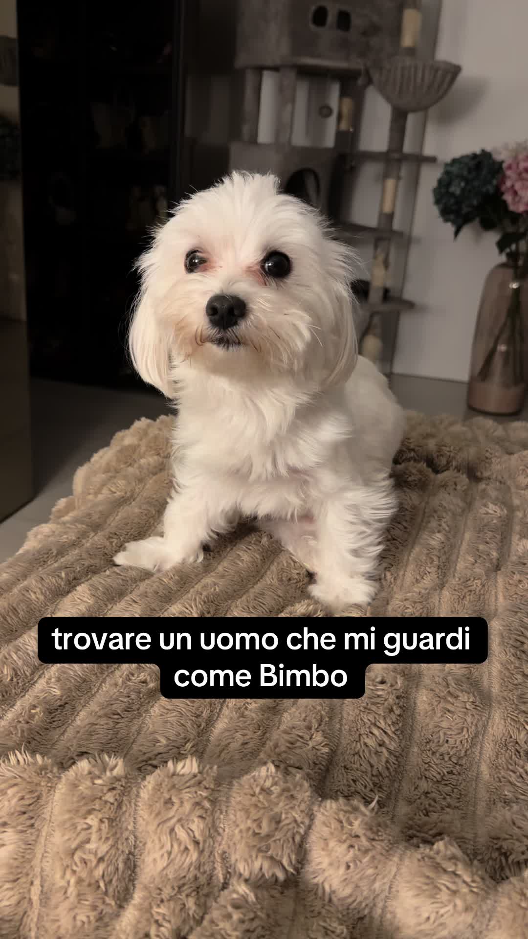 @bianca.e.nina