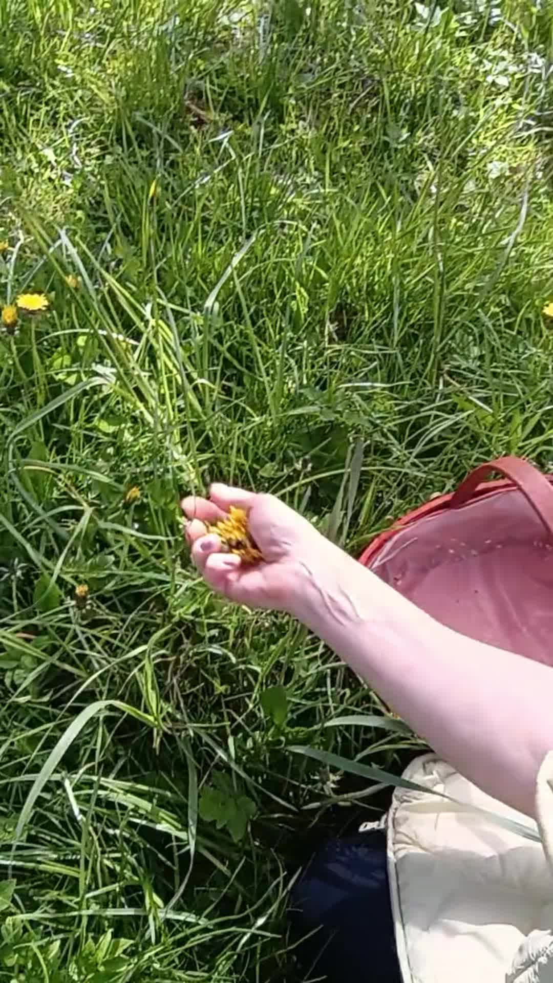 @AutoNina