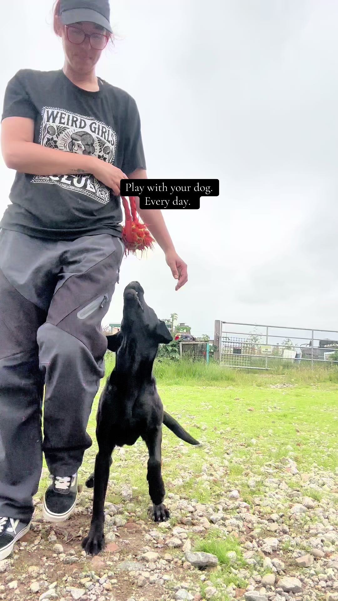 @Valleys Dog Training