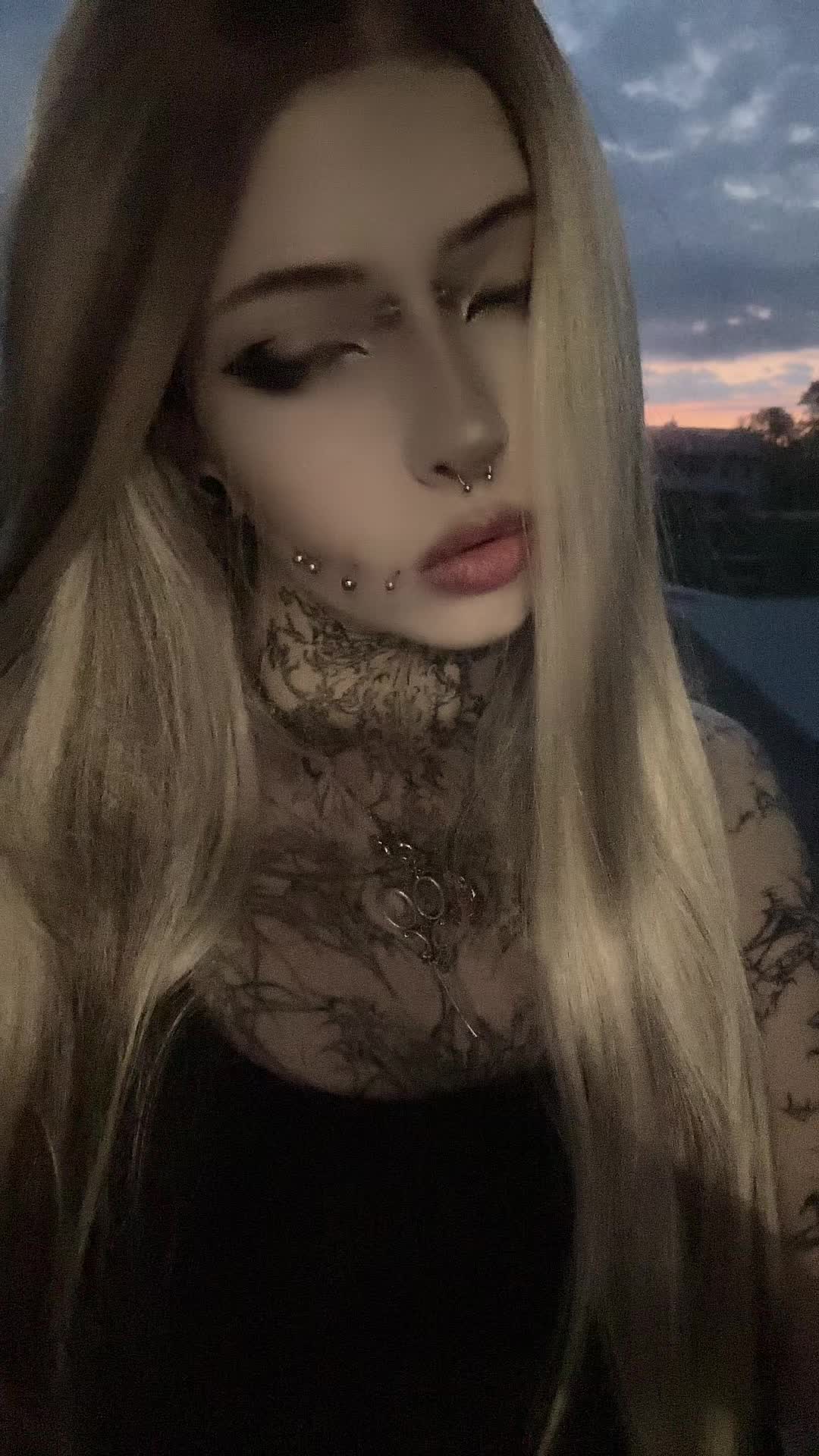 @dark dynasty