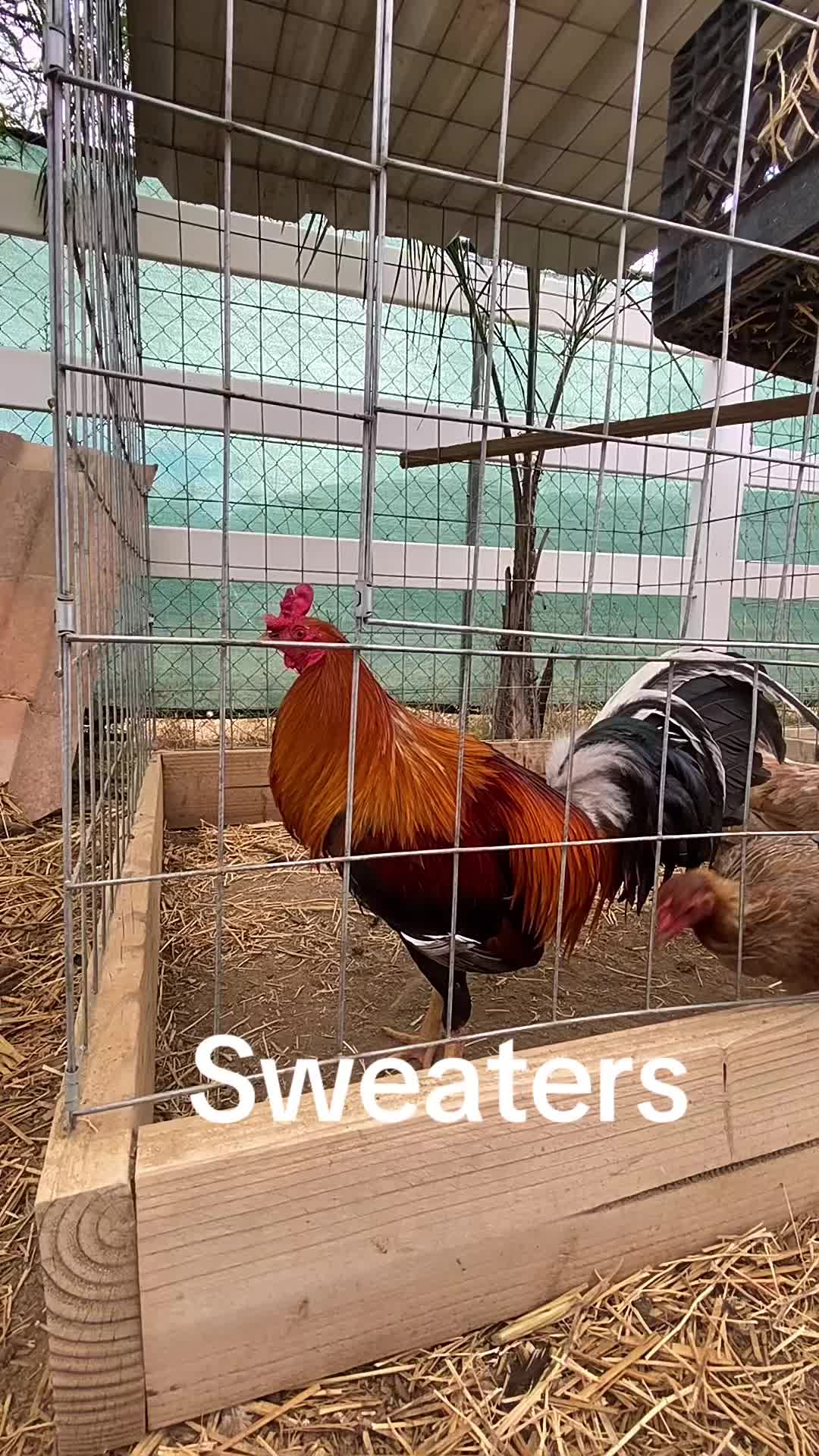 @A.MENDOZA.FARM.USA 74HWY