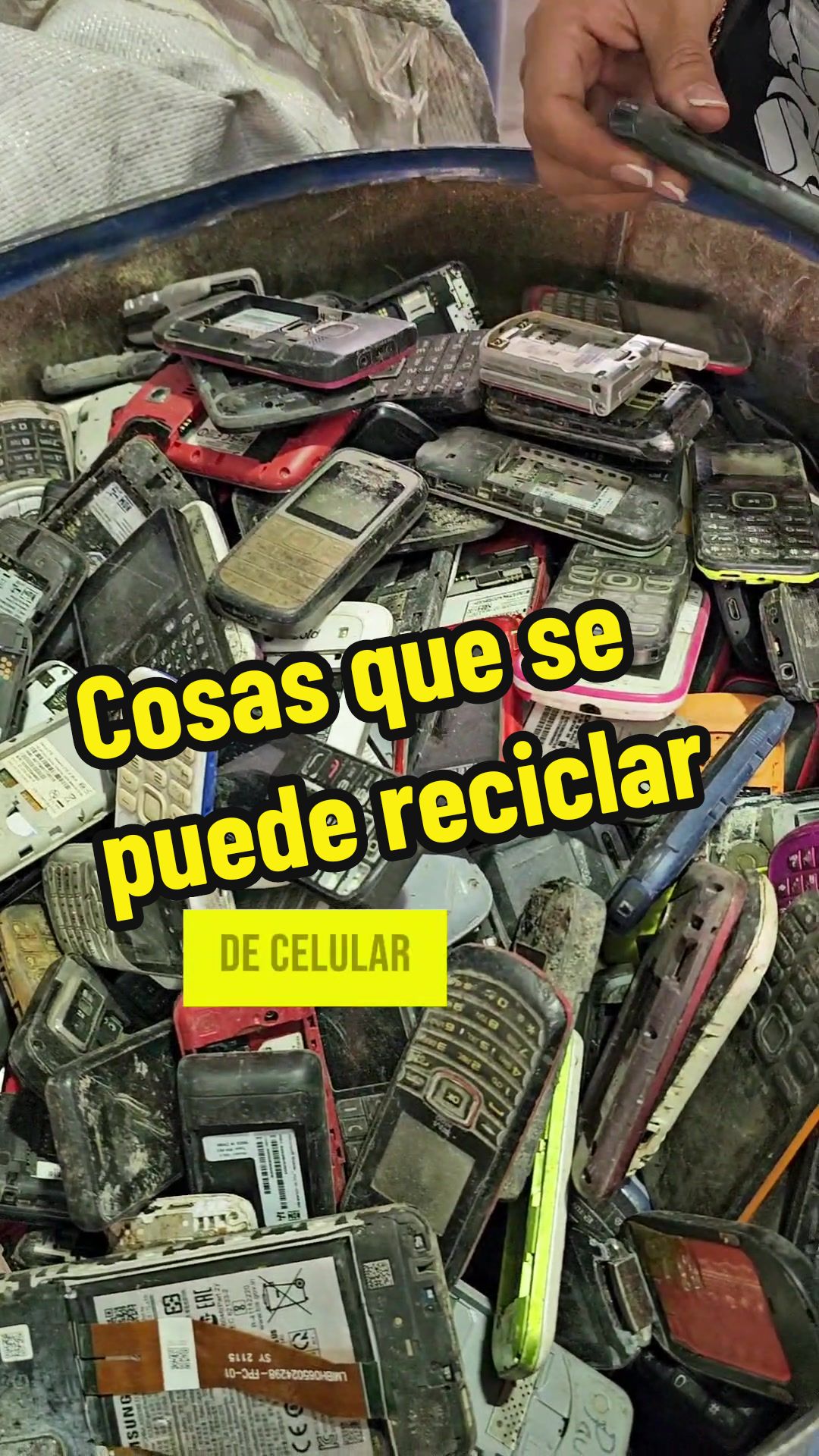 @IGB Recycler