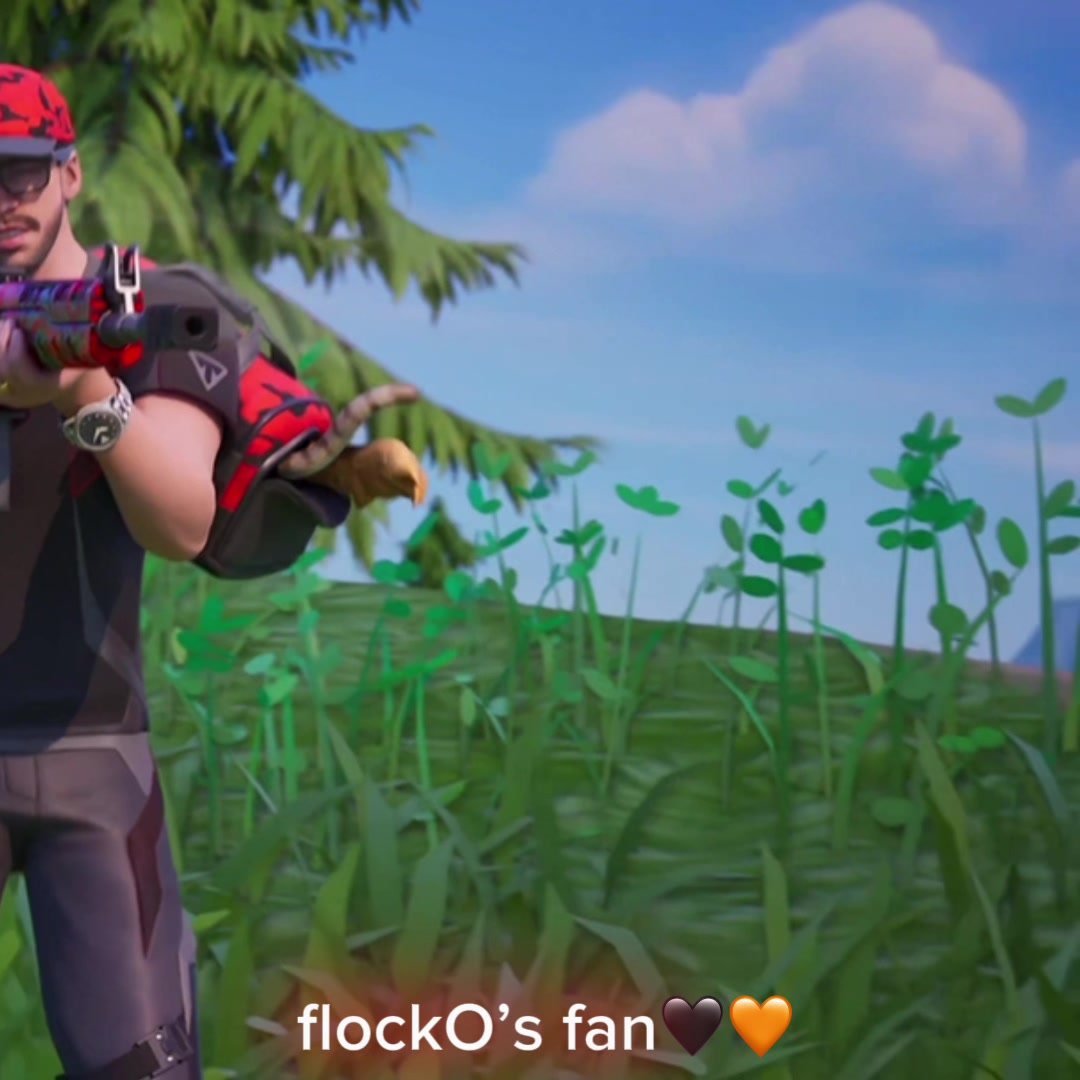 @flockO’s fan🖤🧡