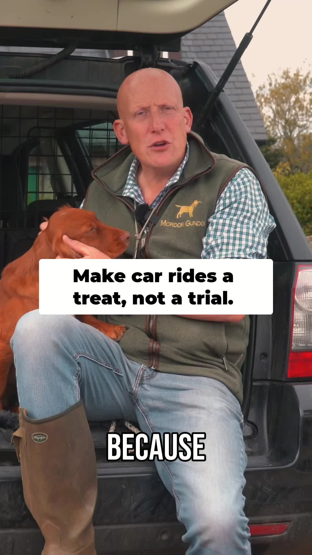 @Mordor Gundogs
