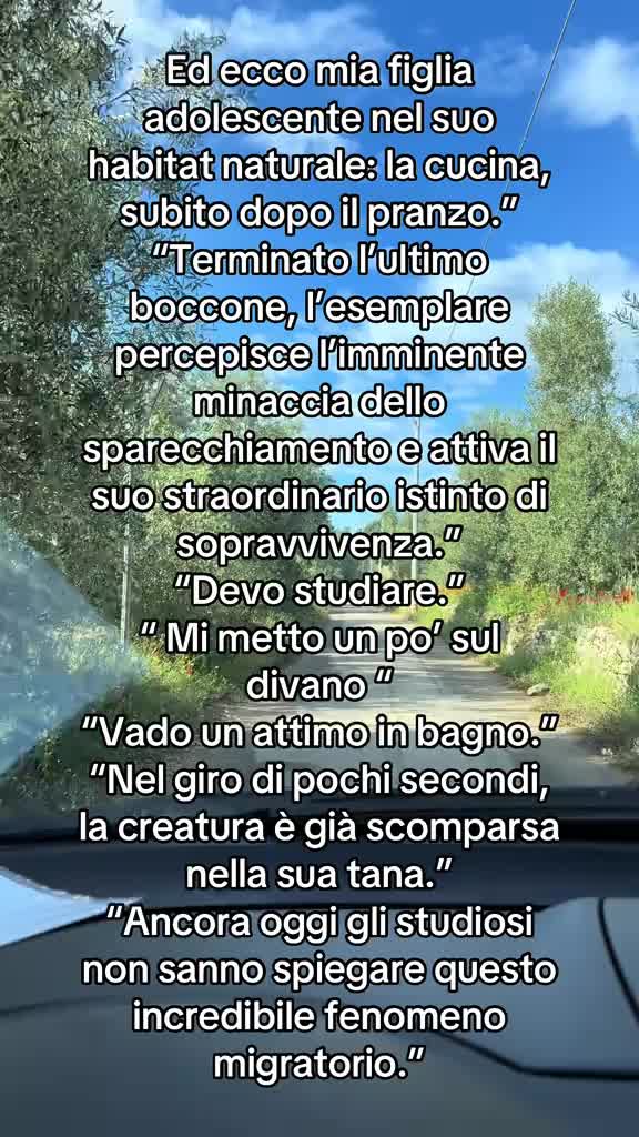 @Barbara Pisoni