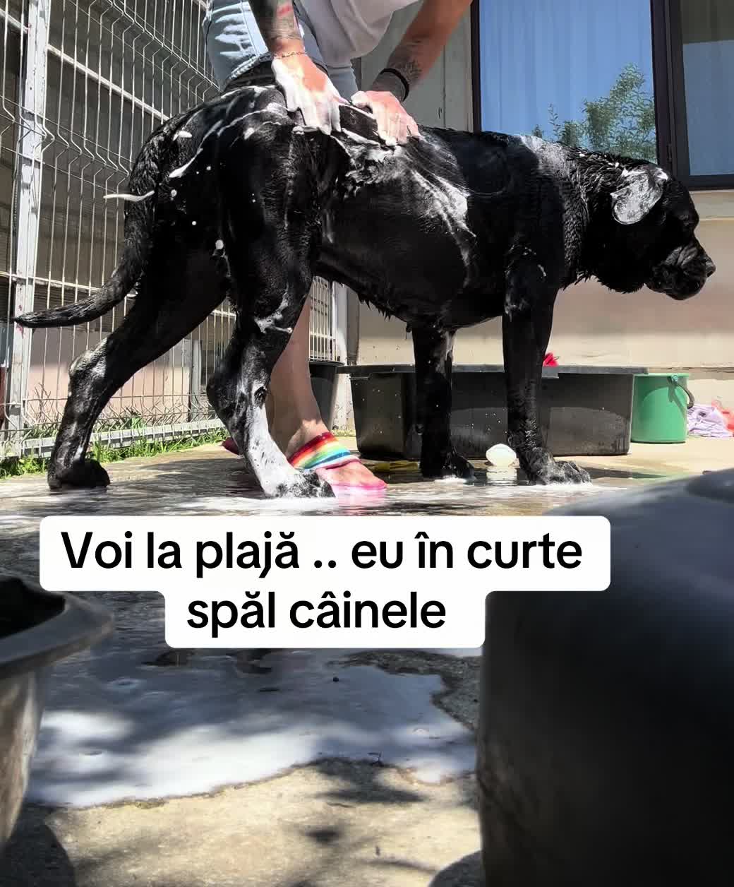 @Ralu
