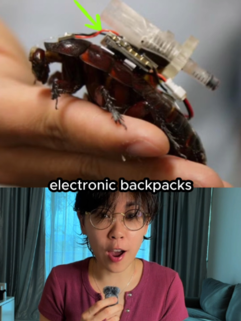 @vt.physics