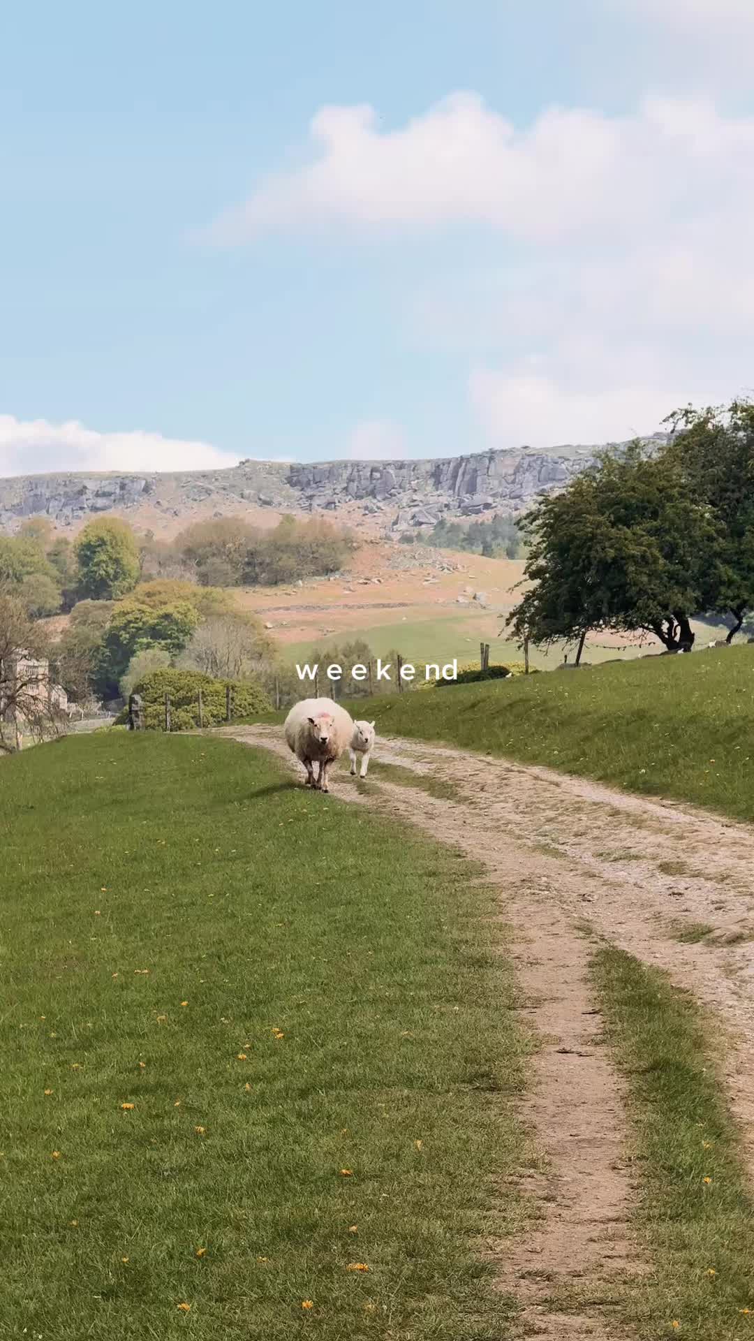 @explore.beyondborders