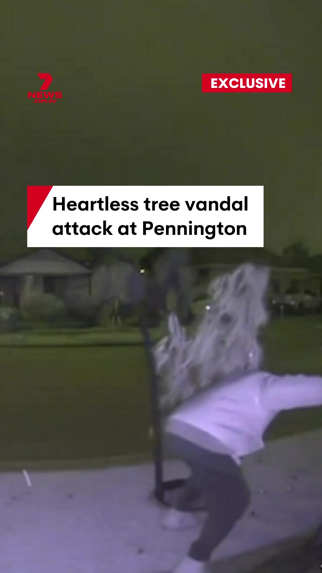 @7NEWSAdelaide