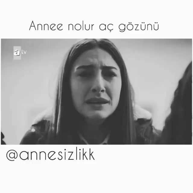 @aysegulum