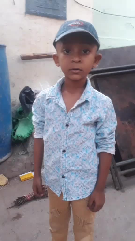 @animesh king model