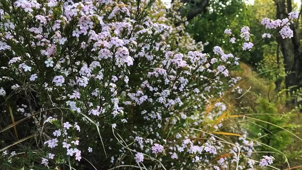 @♡