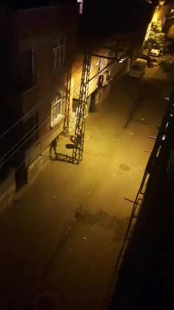 @mehmetunc21