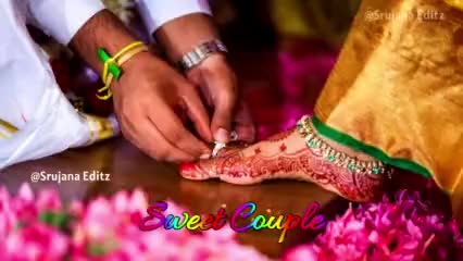 @user8262226229429