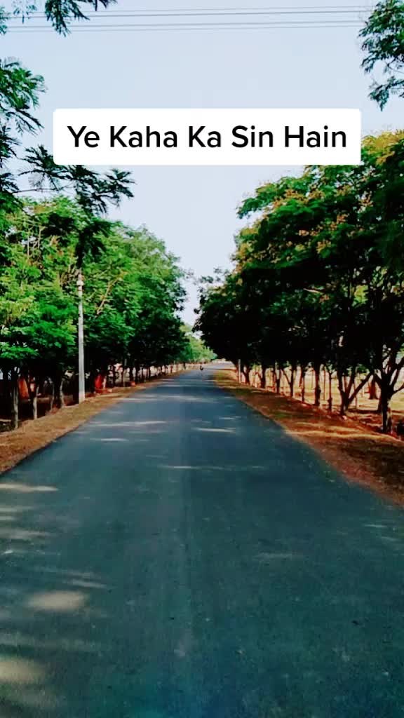 @कोरबा जिला के शेर