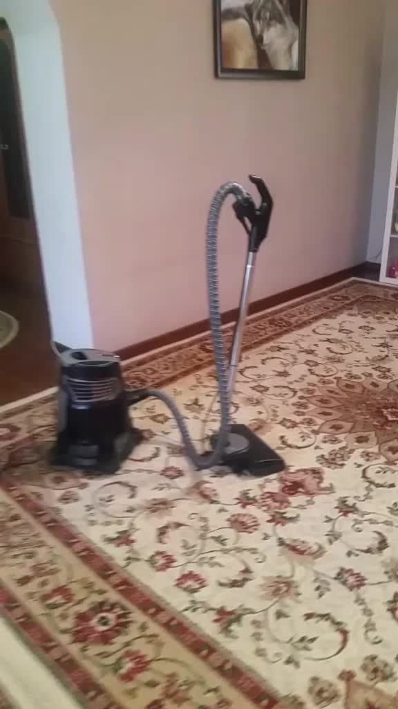 @Мадина Мадина