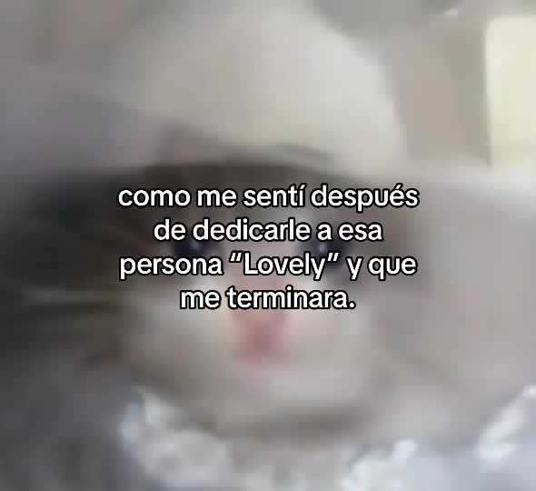 @ukipookiie