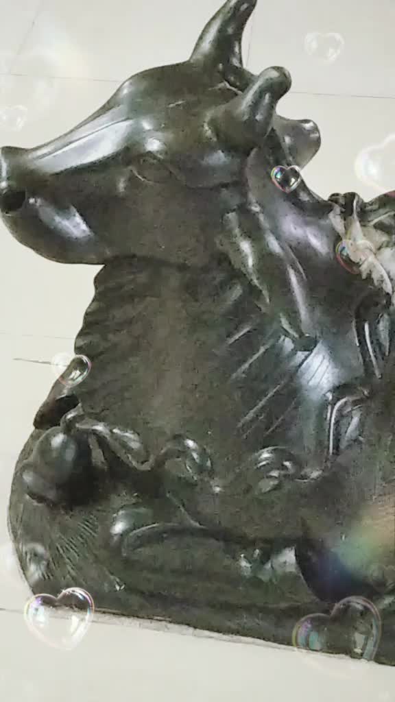 @Harshita Tiwari 1234