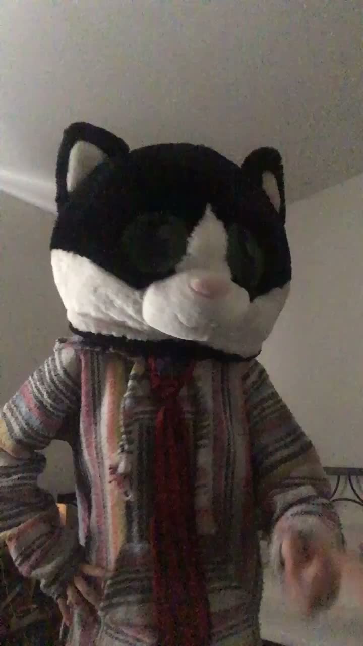 @gay.cat.furry