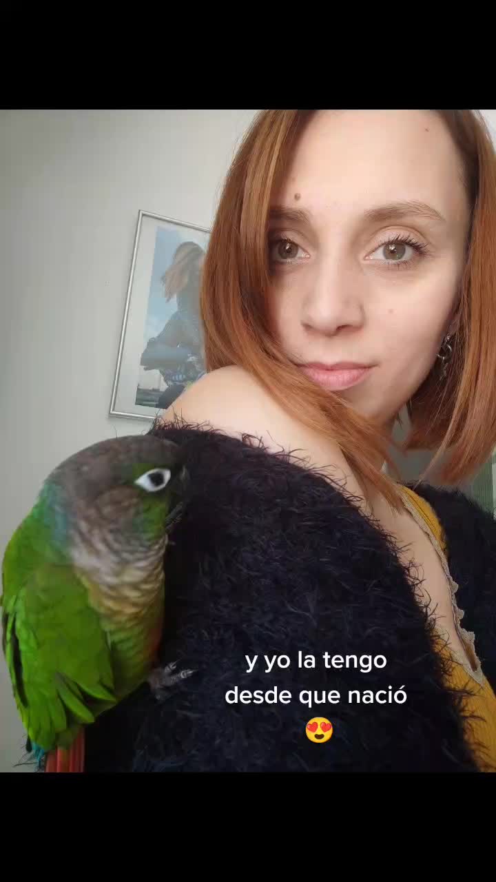 @Patitos