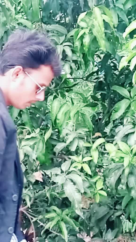 @shankar7300461775732