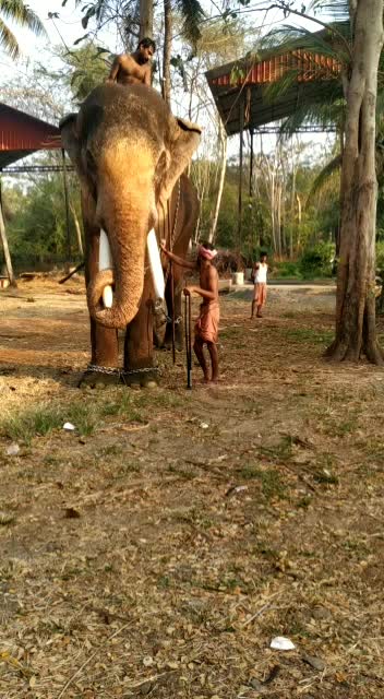 @Ranjith Mohandas