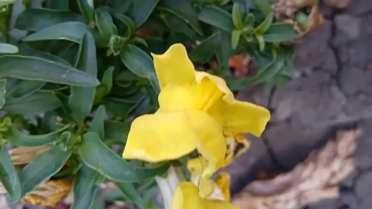 @Maxim080413