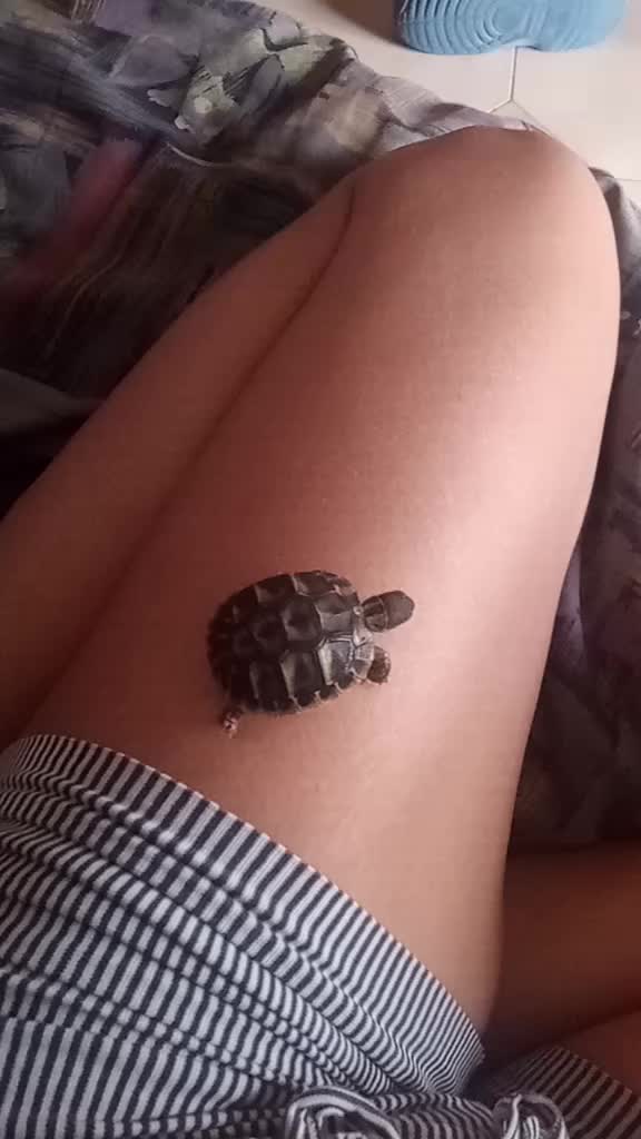 @Donata Forliano