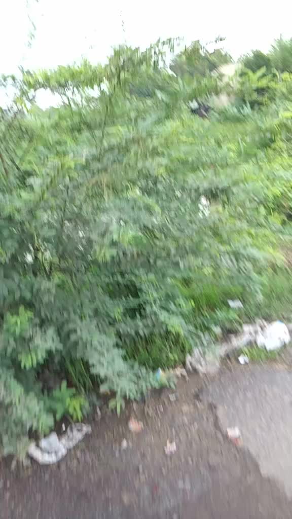@Nayak Gautam