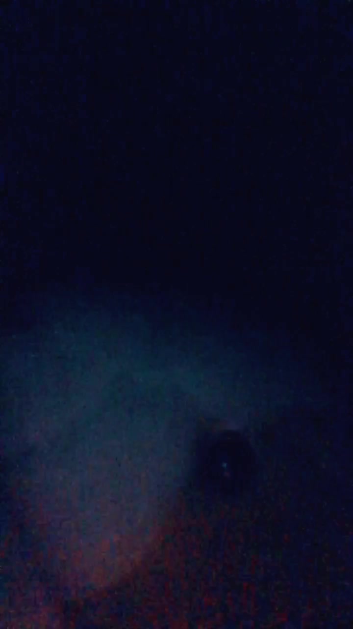 @💚EDD&Oslash;_SPAGHETT&Oslash;💚