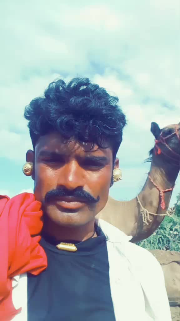 @user184616690944