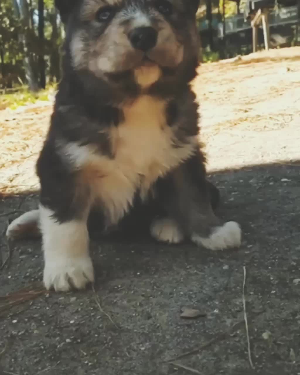 @husky.ranch
