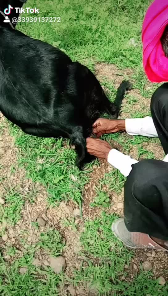 @कैलास काळे