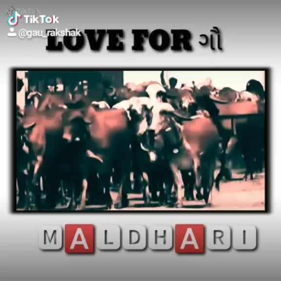 @ગૌ રક્ષક