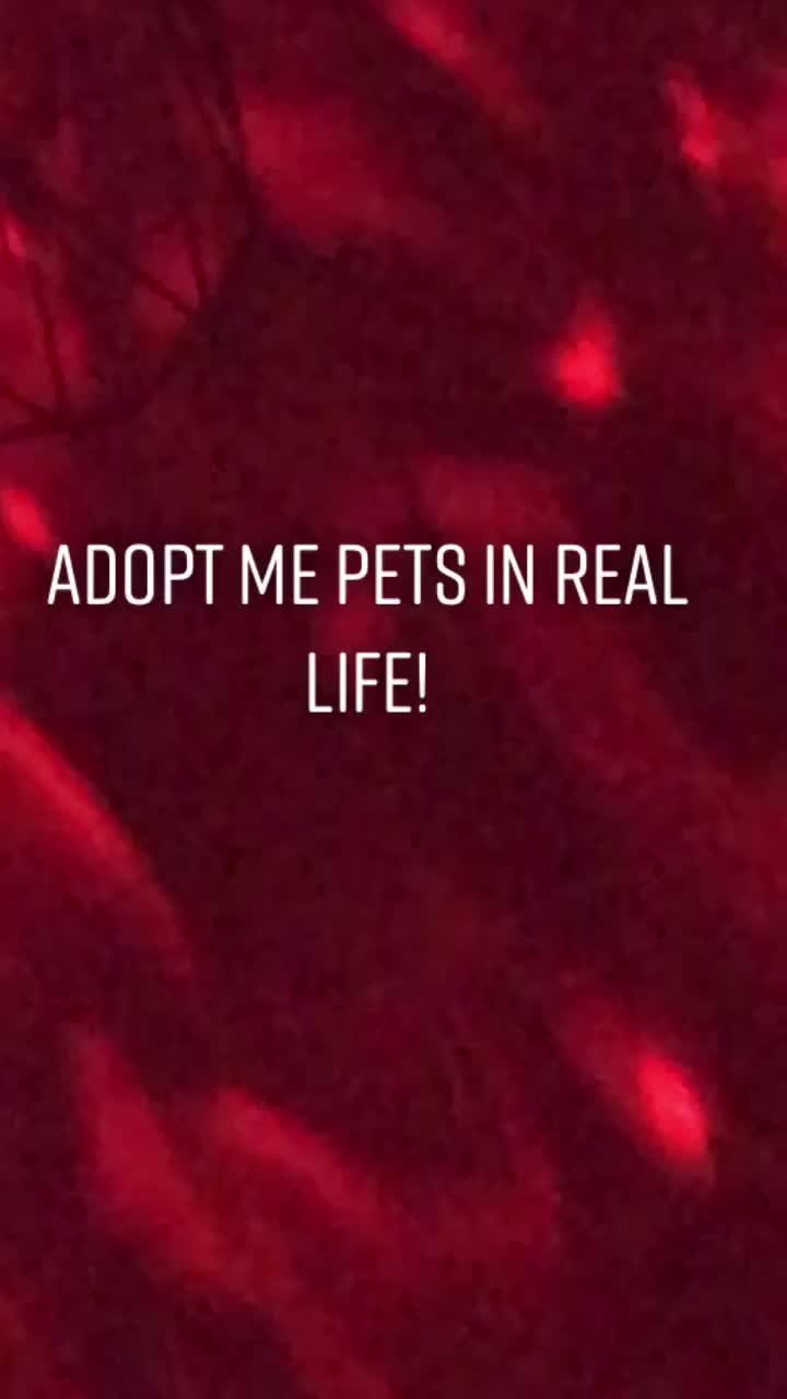 @🤍