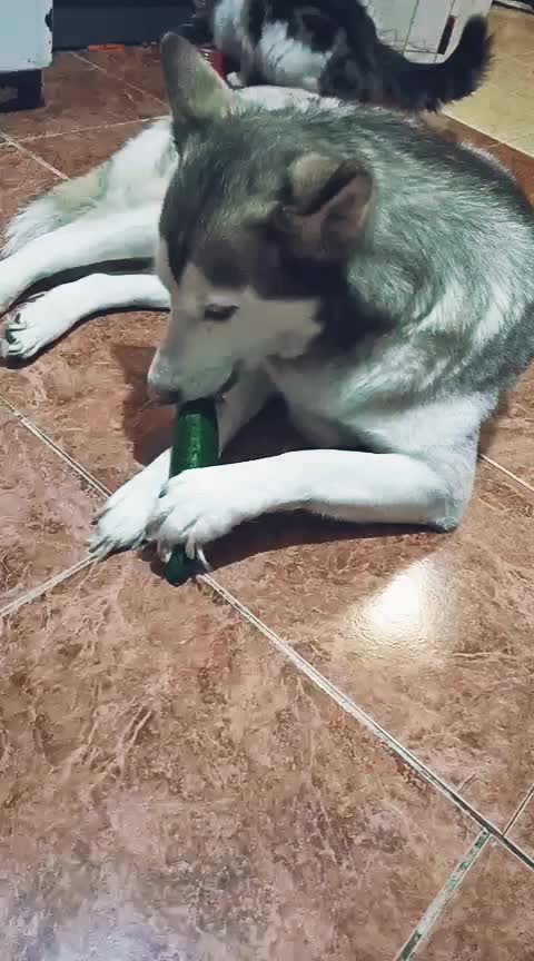 @НАТАЛЬЯ ЛИМАНСКАЯ