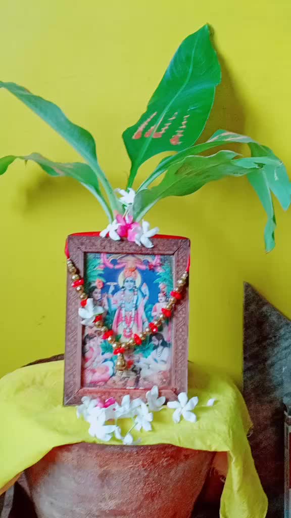 @Tanya Singh Rajput