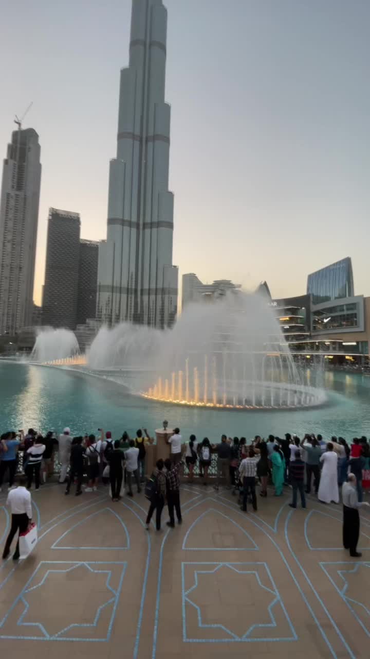 @Ranim🇦🇪🇹🇳