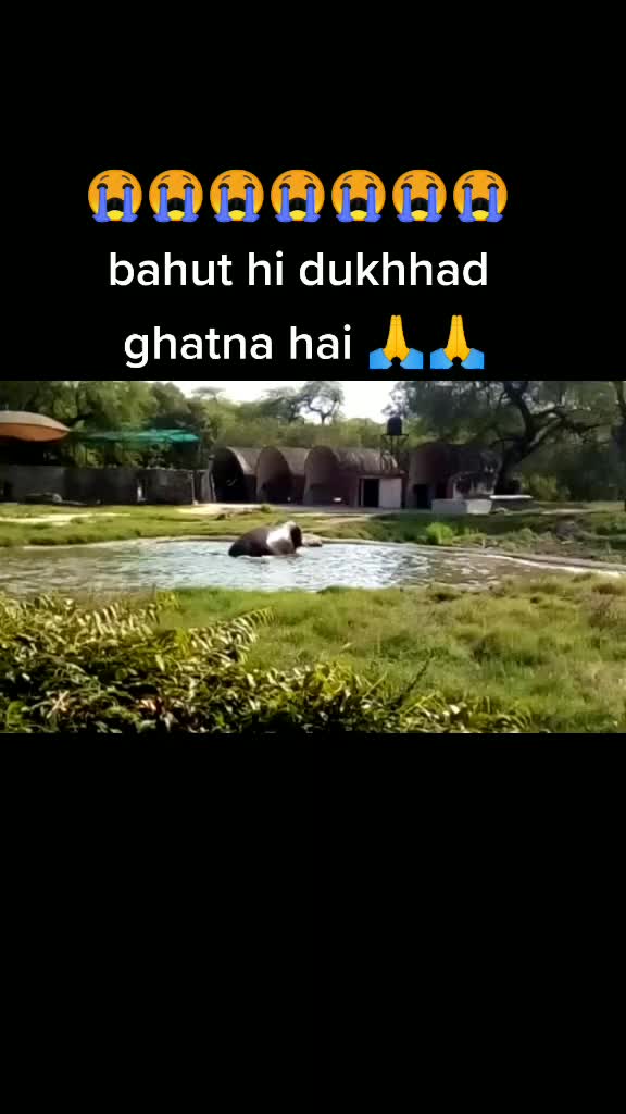 @munna Kumar