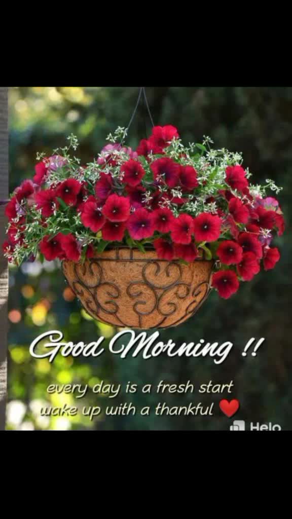@user2150191911523