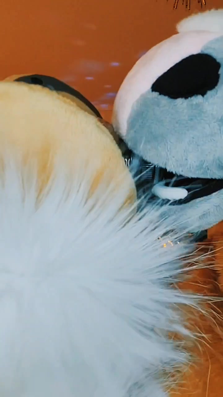 @SeaNoodles