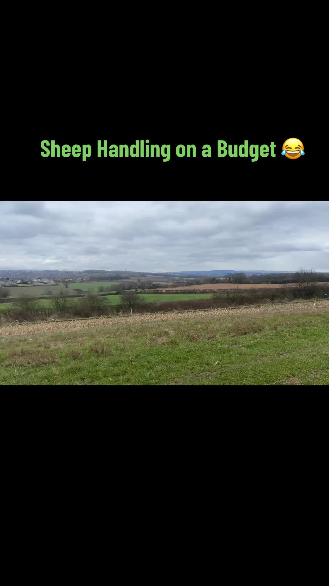 @Nether Haugh Farm