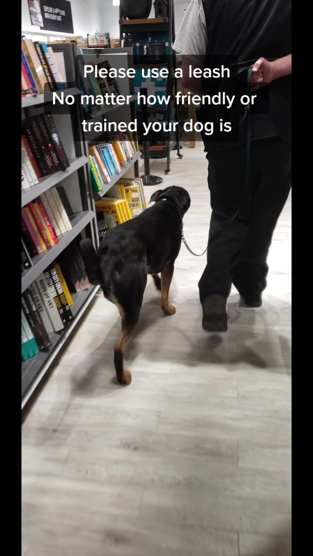 @Kairo's K9s Training 🇨🇦