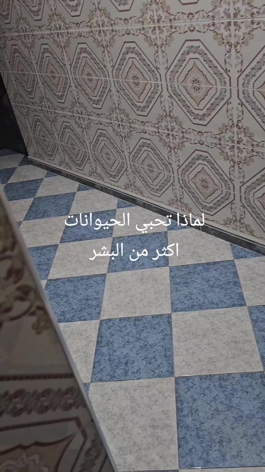 @Nadia