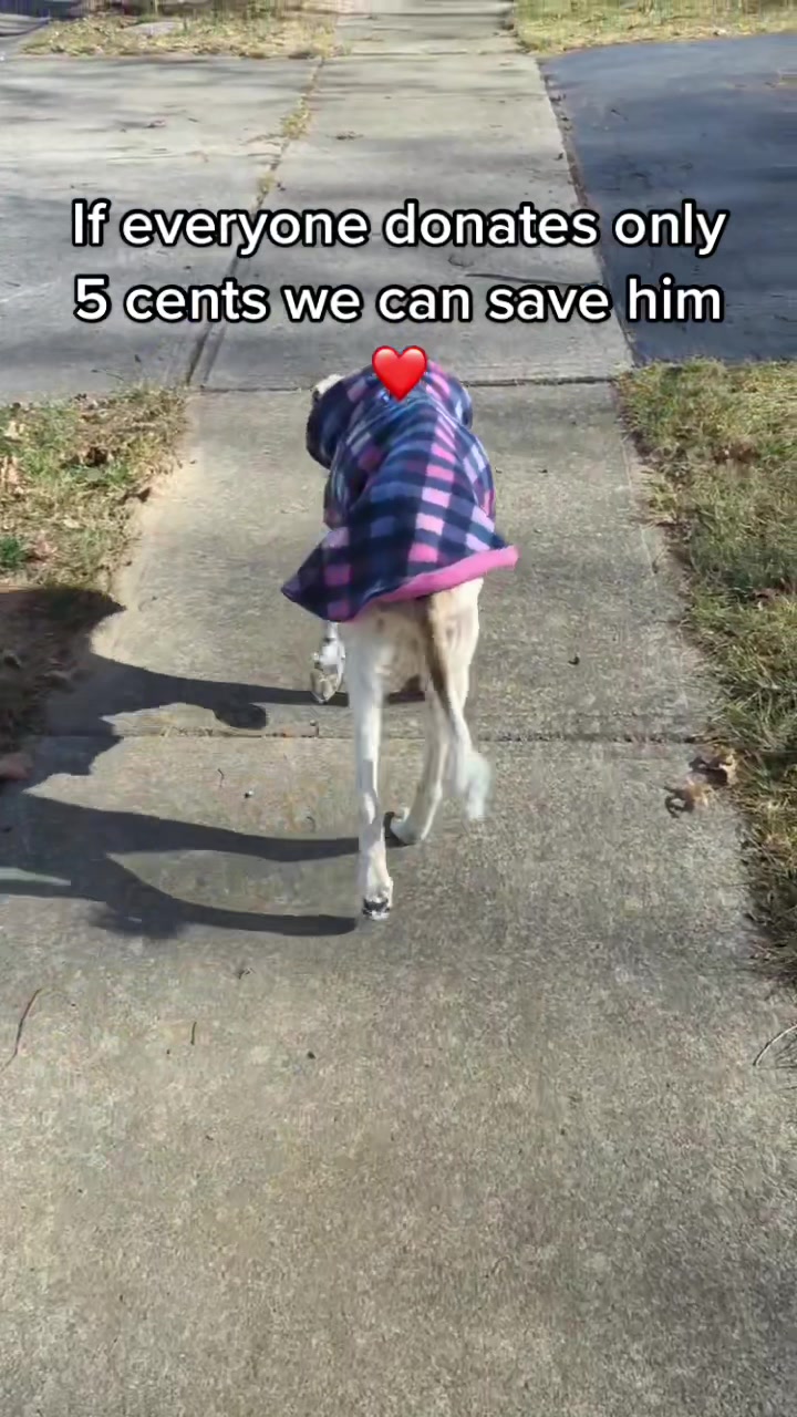 @PrayForCooper